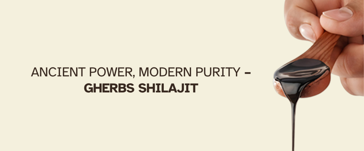 when to take shilajit